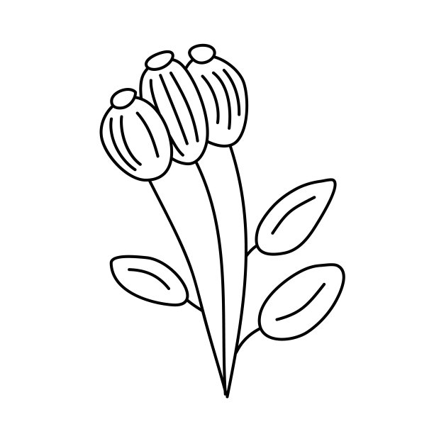 向量简单的三种花植物学插图。线条艺术最小的设计元素。优雅精致的植物涂鸦品牌，图形设计。春天花艺图片下载