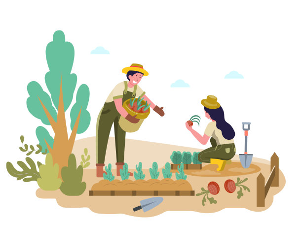 它是在农村用耙子、铲子、锄头、泥土、独轮车等工具栽培的。这株植物会长得很好。平坦的插图。图片下载