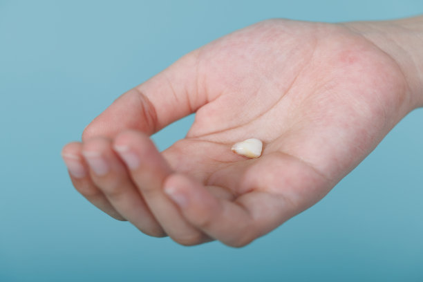 儿童手持第一乳牙，提供牙科保健理念图片下载