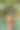 性感的年轻女子穿着黑色比基尼站在游泳池里图片下载