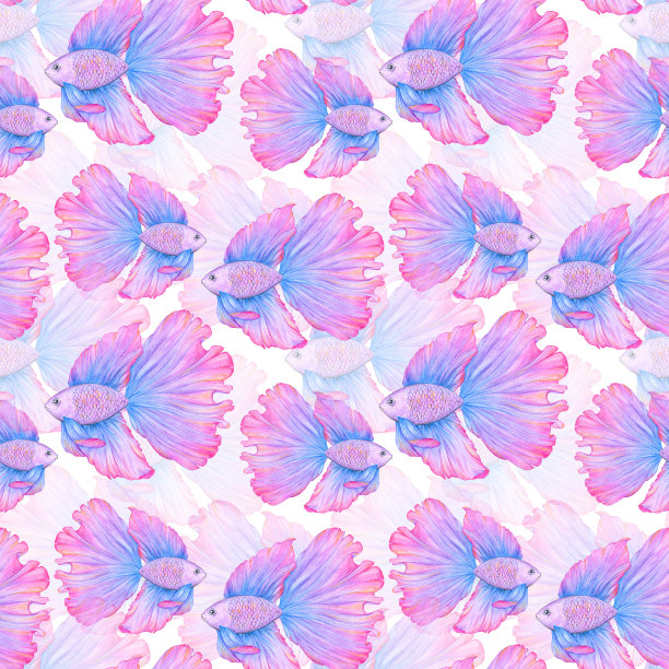 斗鱼无缝图案。手绘插图。战斗的鱼。蓝色和粉红色的。彩色草图。彩色铅笔画画。图片下载