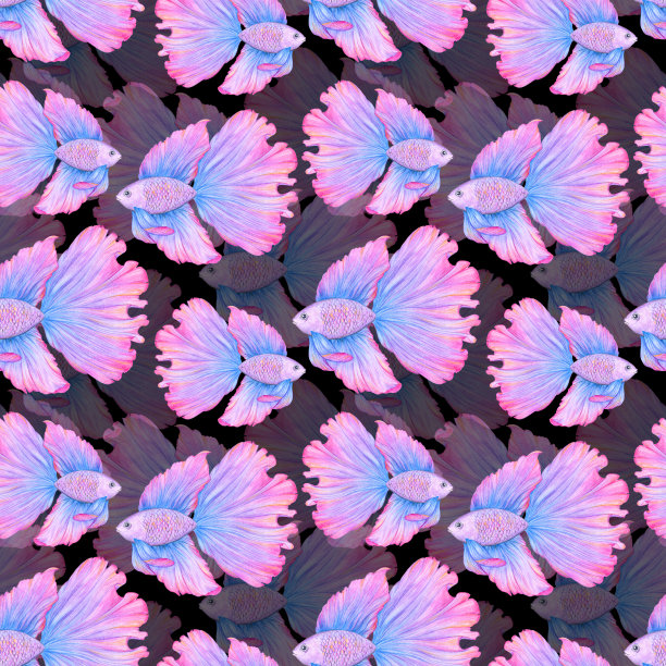 斗鱼无缝图案。手绘插图。战斗的鱼。蓝色和粉红色的。彩色草图。彩色铅笔画画。图片下载