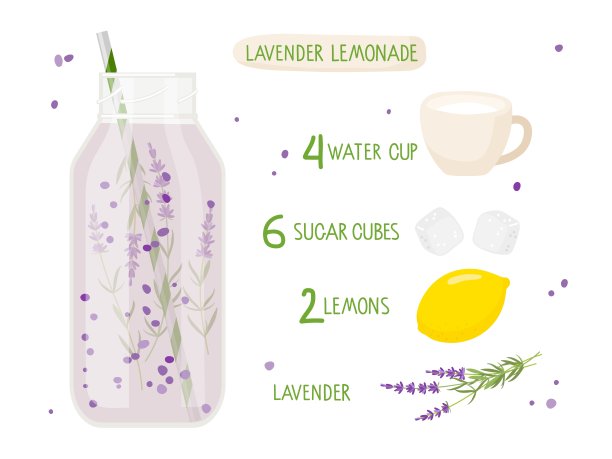 健康的营养。薰衣草柠檬水的配方。杯子与紫色饮料和配料。柠檬，水，薰衣草，糖。平面矢量插图咖啡馆菜单，商店。有机生摇饮料。图片下载