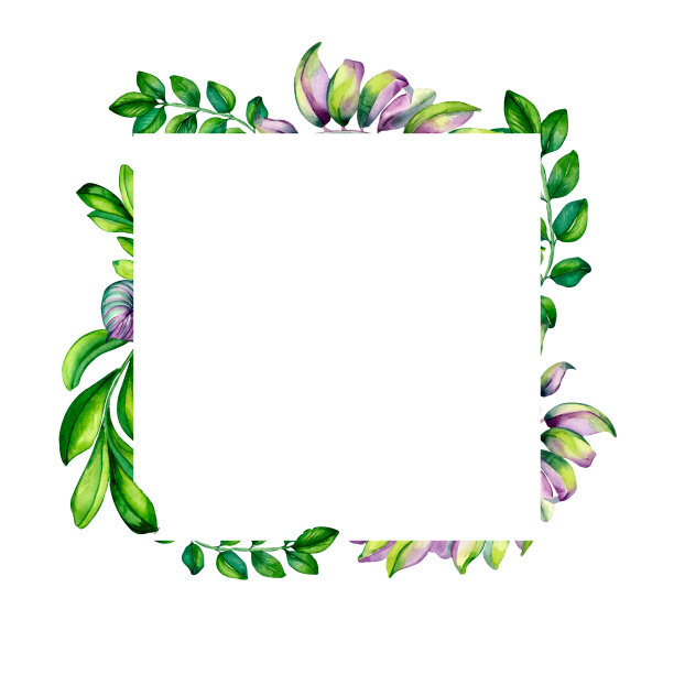 彩色框架的绿色分支水彩插图孤立图片下载