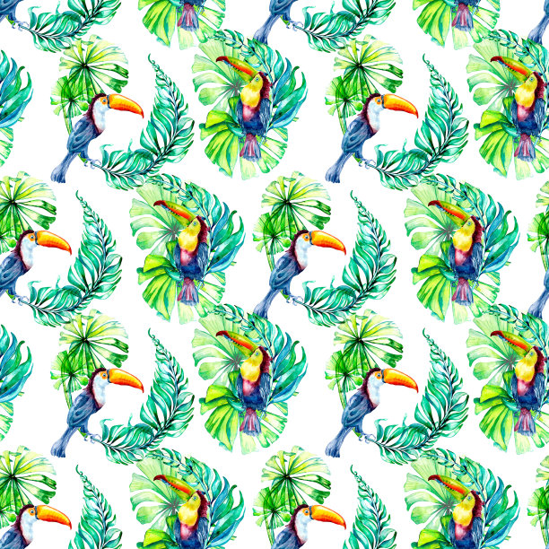 热带鸟巨嘴鸟和棕榈叶水彩无缝图案隔离。图片下载