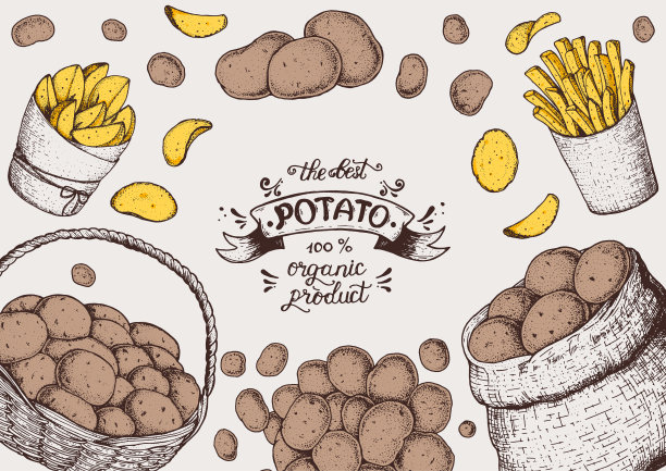 土豆矢量插图。一盒一袋的土豆。炸薯条，土制土豆和手绘薯片。雕刻风格的插图。包装设计。图片下载