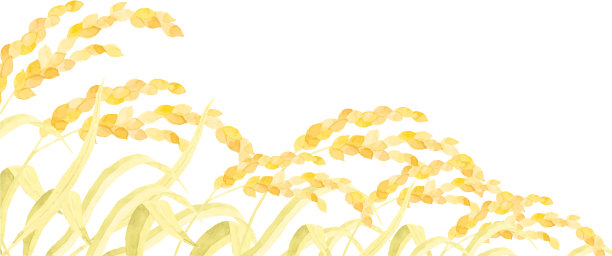 水彩画的稻田图片下载