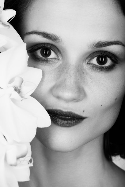 面对兰花图片下载