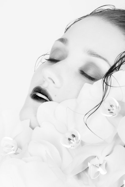 面对兰花图片下载