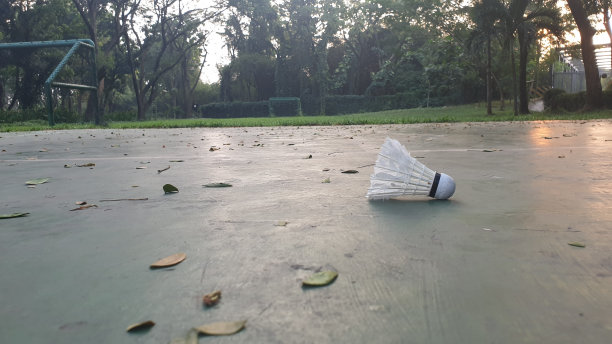 羽毛球，球拍和网。图片下载