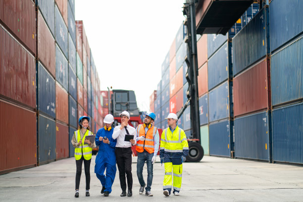 一群专业的工程师、工人或技术人员在背景下与吊车和集装箱储罐堆一起行走和讨论货物集装箱工作区域的工作。图片下载