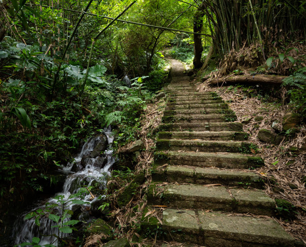 在台湾台北阳明山公园的竹林中隐藏的山径，以及山径旁的小溪，图片下载