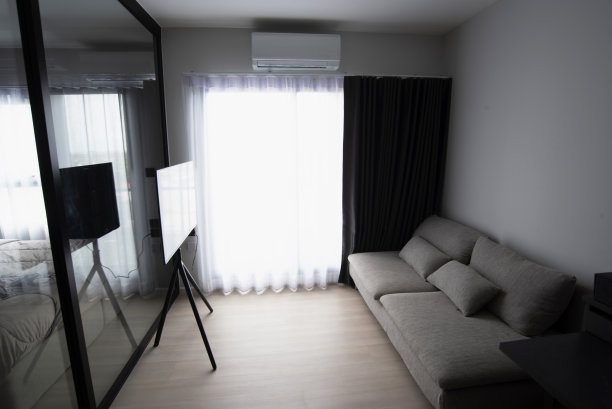 市中心的公寓，舒适的家具，安装在墙上的电视，和地毯坐在硬木地板。图片下载