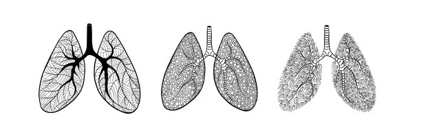 一套可爱和创意的手画肺图片下载