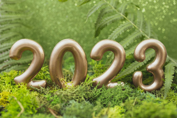 2023金色数字上的绿色组成与苔藓，蕨类植物和闪光。图片下载