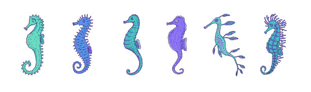 设置蓝色海马不同形式的野生图片下载