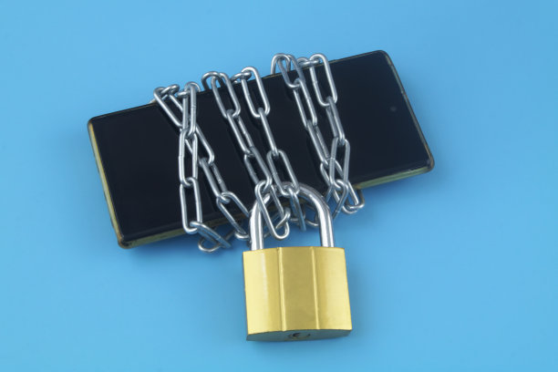 蓝色背景上带挂锁的智能手机。图片下载