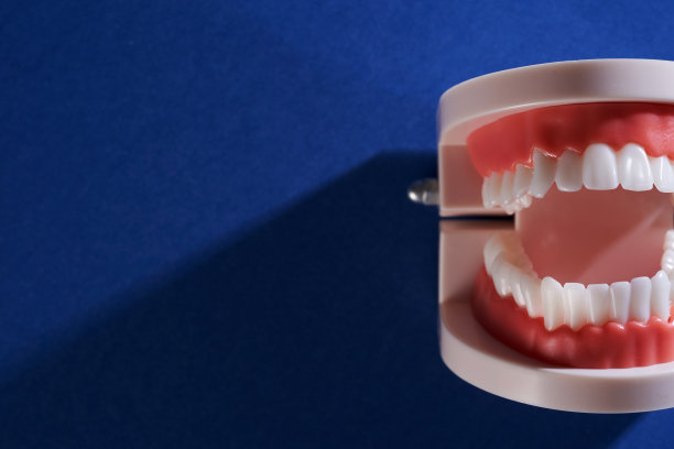 非常近的模型牙齿对蓝色背景图片下载