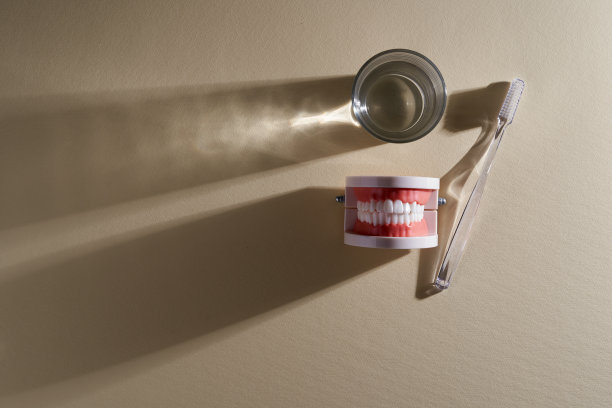 牙刷模型牙齿和一杯水图片下载