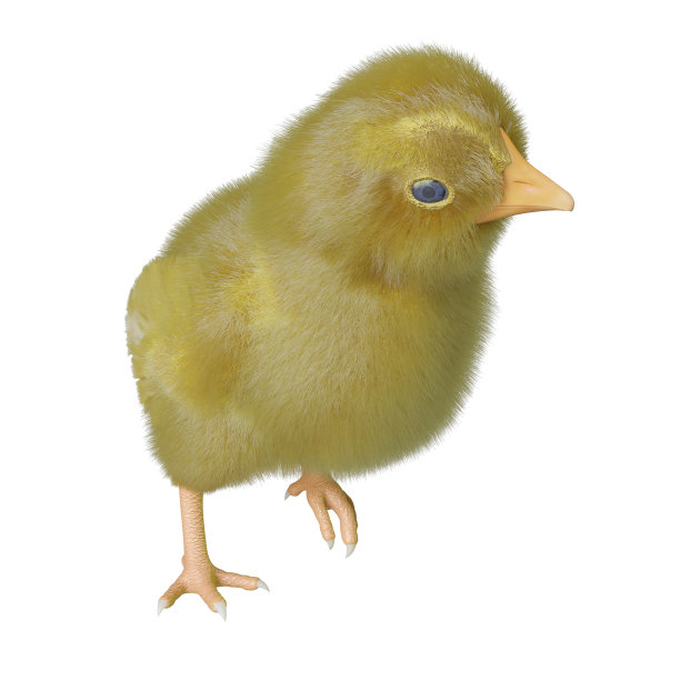 新生儿3d插图孤立的白色背景图片下载