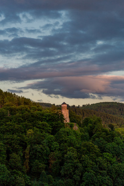 夏季探索之旅穿越施泰因巴赫-哈伦伯格附近的图林根森林图片下载