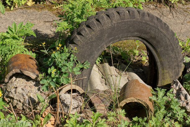 地上有一个黑色的旧汽车轮胎，垃圾堆里有绿草图片下载