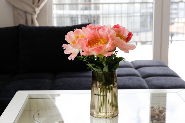 室内的花图片下载