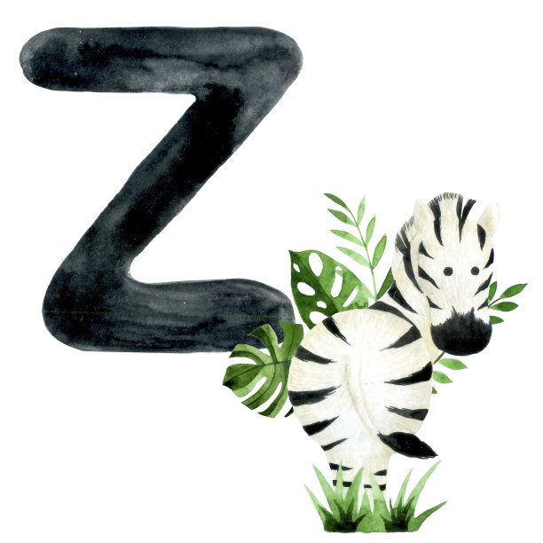 水彩绘画。教育卡有字母Z，英语字母表。字母Z和斑马插图，可爱的森林动物图片下载