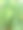 大象耳朵特写图片图片下载