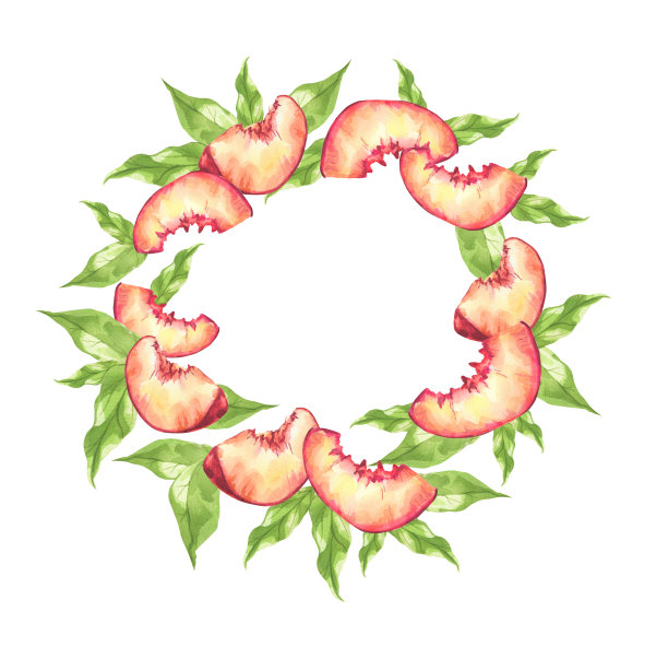 桃子。水彩植物水果插图。帧的桃子图片下载