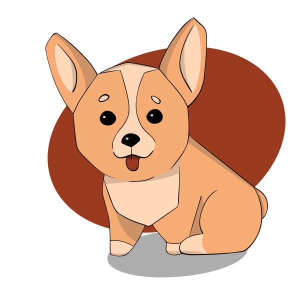 柯基坐在后腿上，伸出舌头图片下载