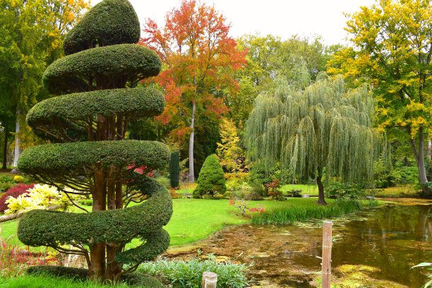 日式花园图片下载