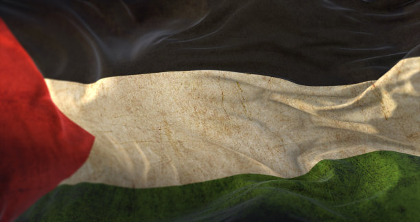 在风中飘扬的旧巴勒斯坦旗帜图片下载