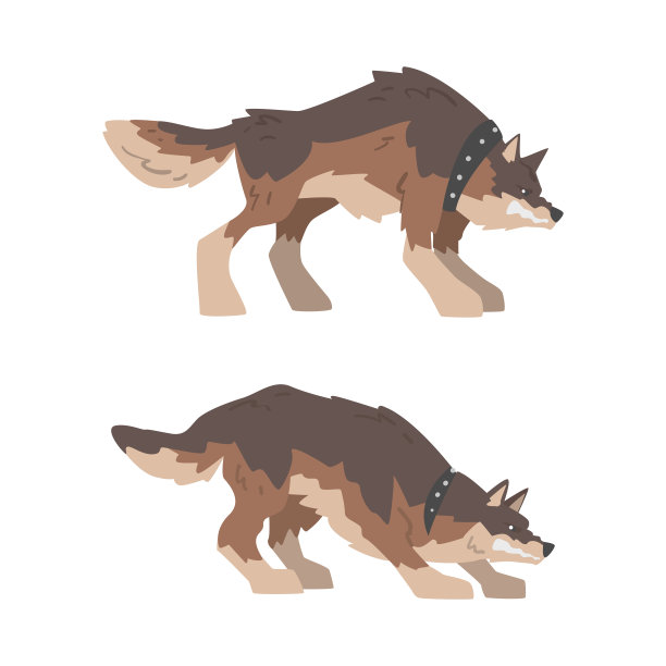 好斗的大狗在项圈露出它的牙齿在愤怒的咧嘴向量集图片下载