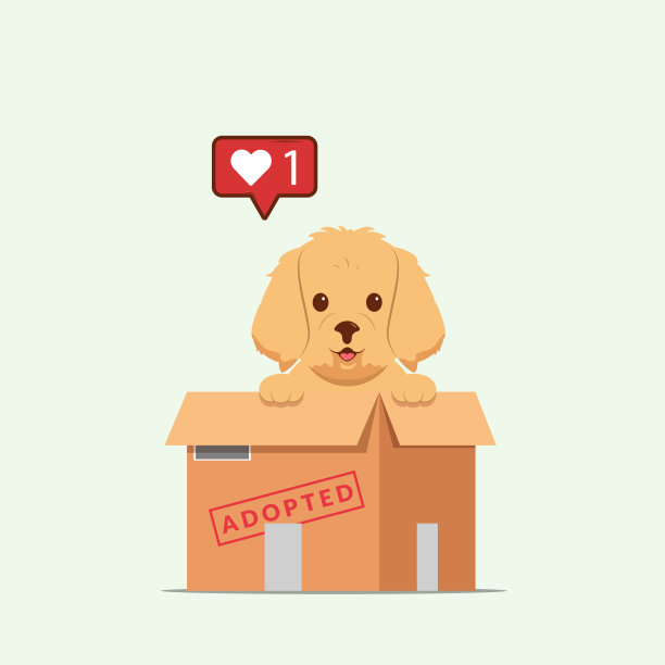 采用宠物概念插图。狗狗救援，保护，收养的概念。传单,海报模板。可爱的金毛猎犬小狗在一个盒子。图片下载