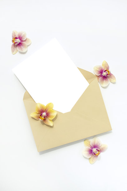 旋风花和卡模型图片下载