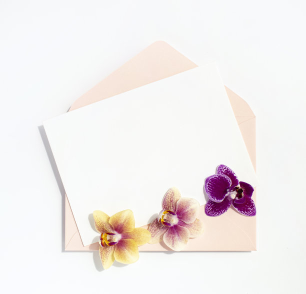 旋风花和卡模型图片下载