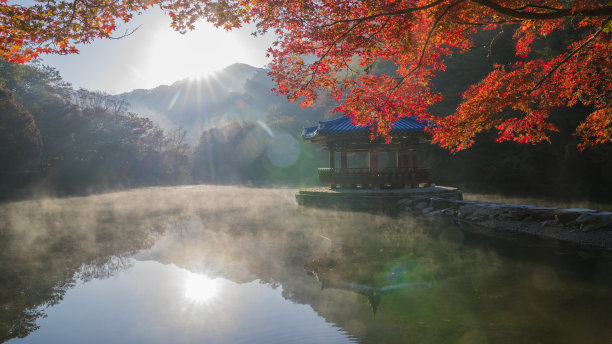 清晨的湖上有红色的叶子。图片下载