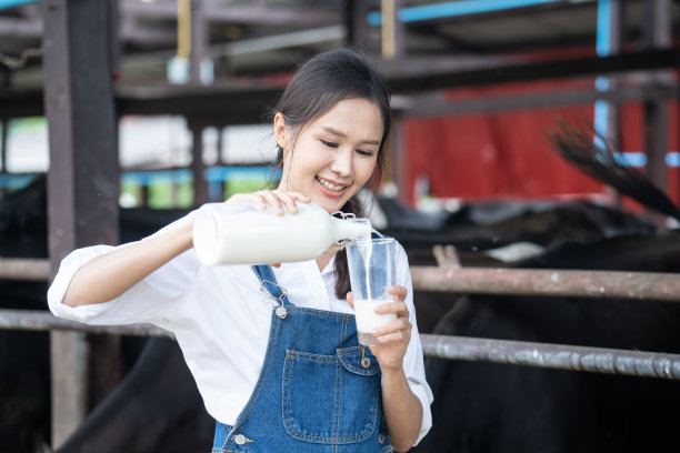 亚洲女性奶农在牛棚中手持奶瓶的肖像。迷人的你女农业农民在畜牧业挤奶后喝巴氏奶与幸福。图片下载