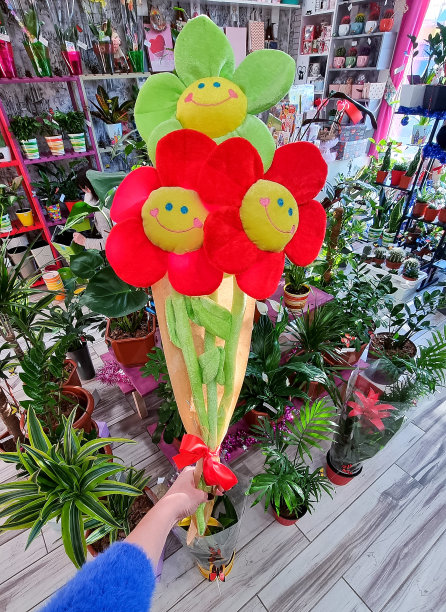 可爱的毛绒花微笑的脸原来的花束礼物图片下载