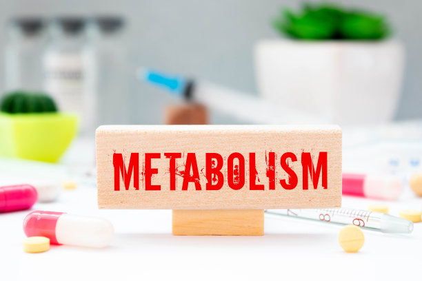 新陈代谢的概念。黄色背景字。医学的概念图片下载
