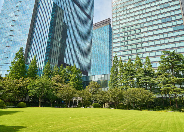 城市绿地和办公楼图片下载