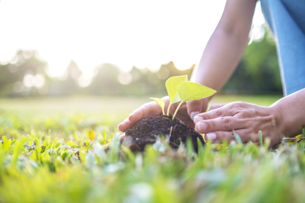 在一个阳光明媚的春日，一个年轻女子用花园铲子在土壤中种植花苗图片下载
