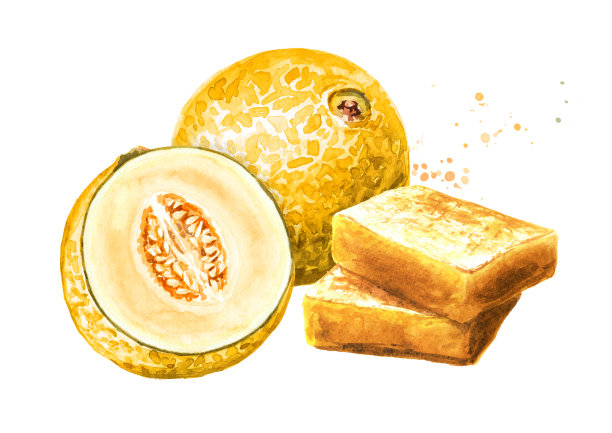 自制甜瓜果酱、果酱、果冻。手绘水彩插图孤立在白色背景图片下载