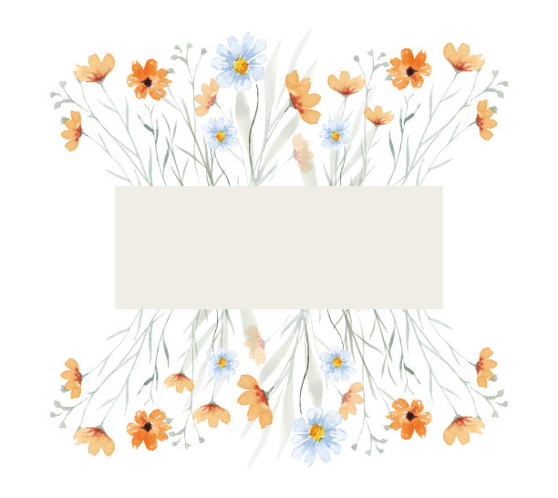 夏天的野花和野生绿色植物的框架。精致的花卉水彩背景图片下载