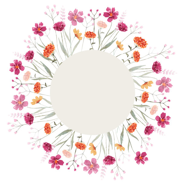 夏天的野花和野生绿色植物的框架。精致的花卉水彩背景图片下载