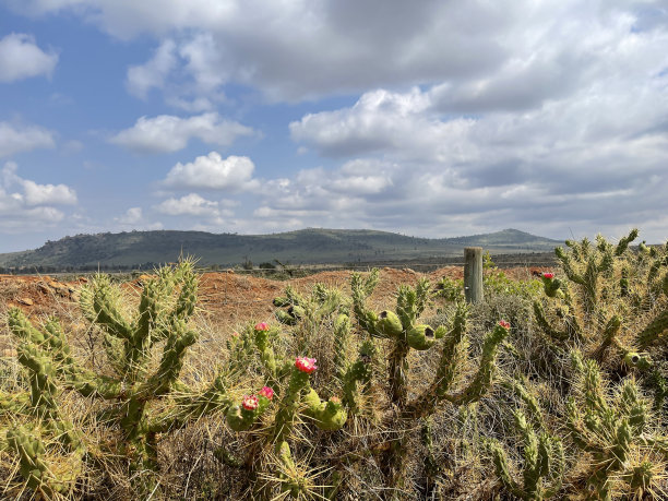 甘蔗栅栏在前景与风景秀丽的山顶景色图片下载