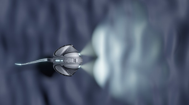 外星人马蹄蟹的3D渲染图片下载