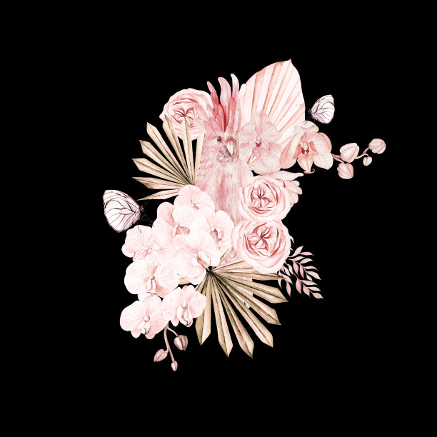 水彩粉红色热带花束与异国情调的花。图片下载