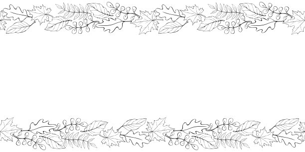矢量背景，框架构成的轮廓秋叶的边缘。水平的顶部和底部边缘，边界，装饰图片下载
